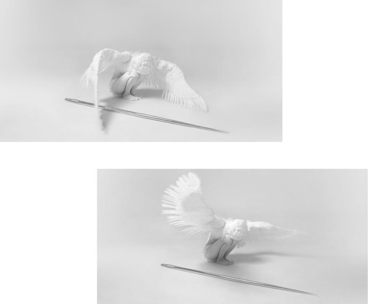 Angel and Needle / 2 by Jingyu Xu 
