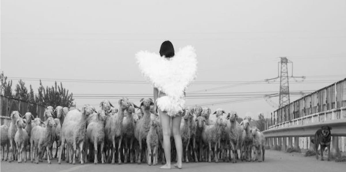 Angel by Jingyu Xu 