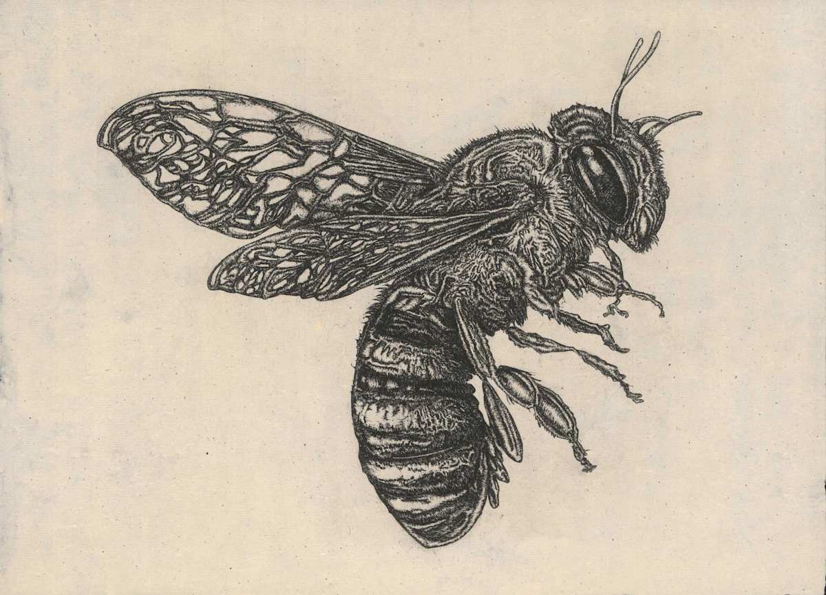 Bee by Rachel Jeanne Singel, Image 3.