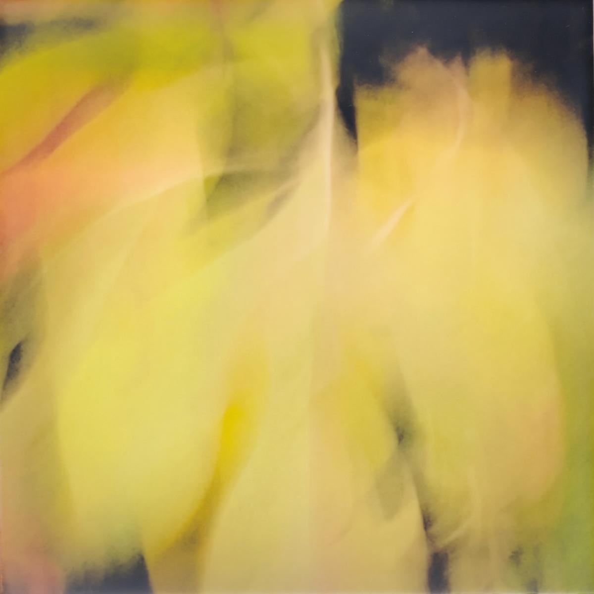 Luminary by Erin Keane, Image 1.