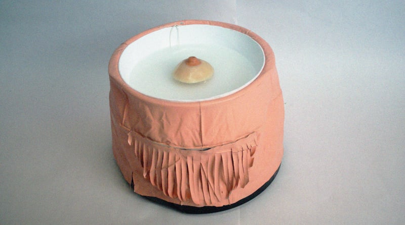 Roomboob by Esther Hernandez, Image 1.