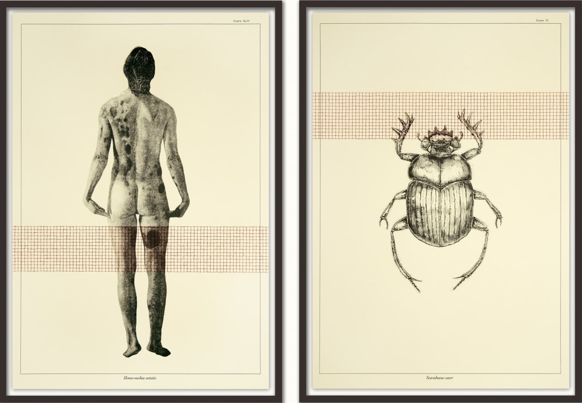 From the Collection by Susanna Gaunt, Image 3.