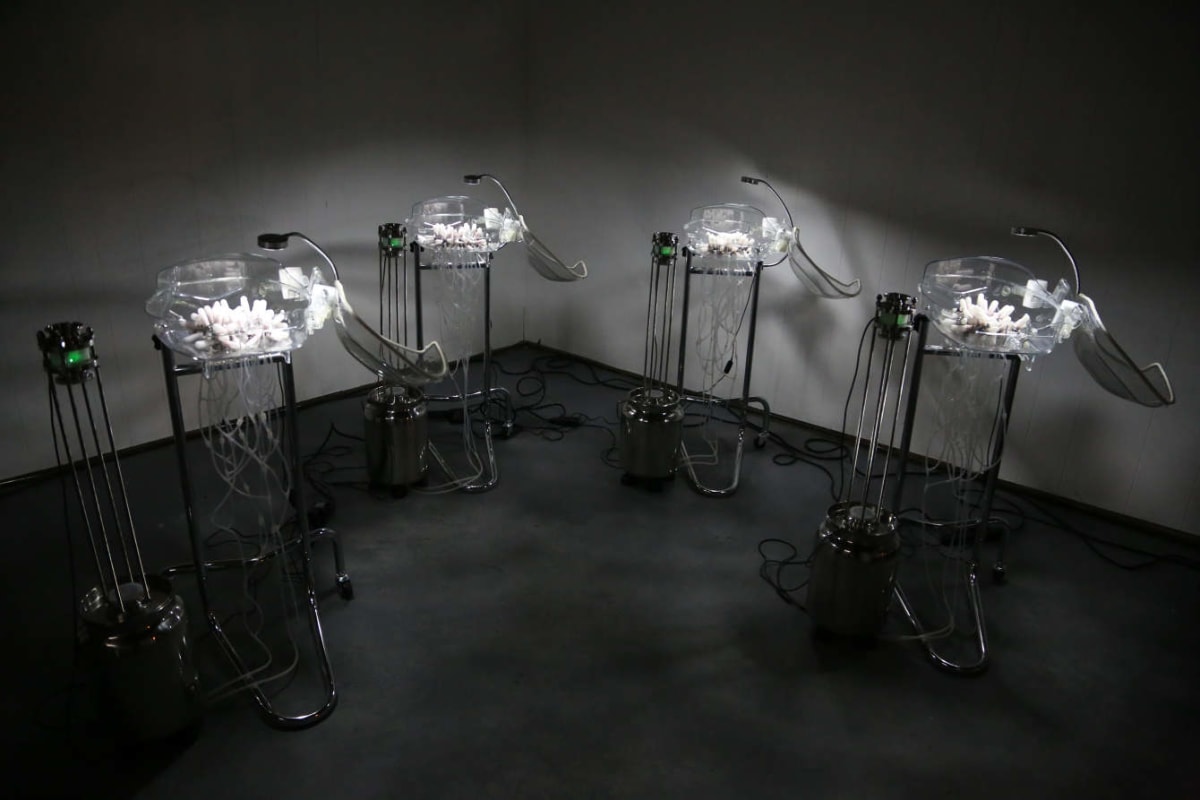 Tethers by Alison Hiltner, Image 1.