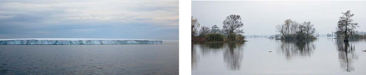 Brown Bluff Weddell Sea 031 20140101  Avoca Island 216 by Tina Freeman, Image 1.