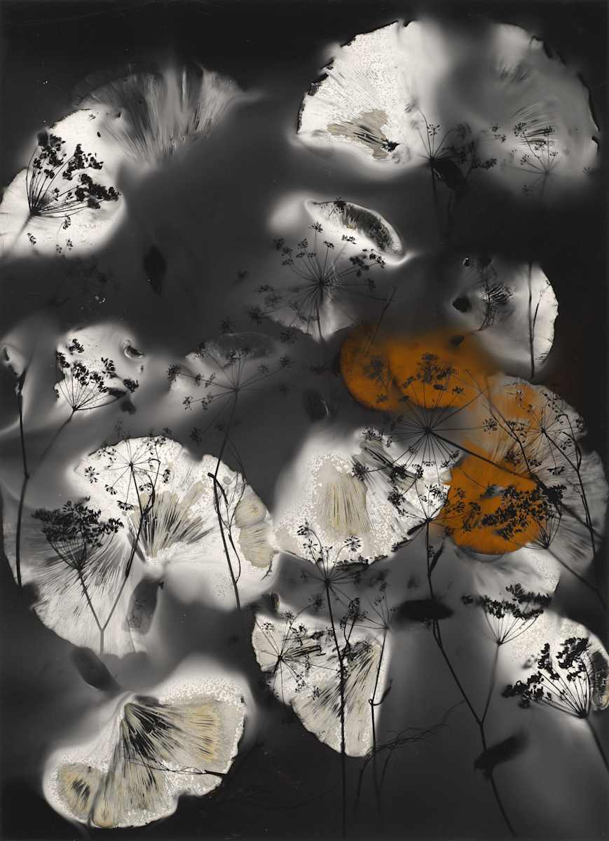 Carry a Torch by Madge Evers, Image 1.