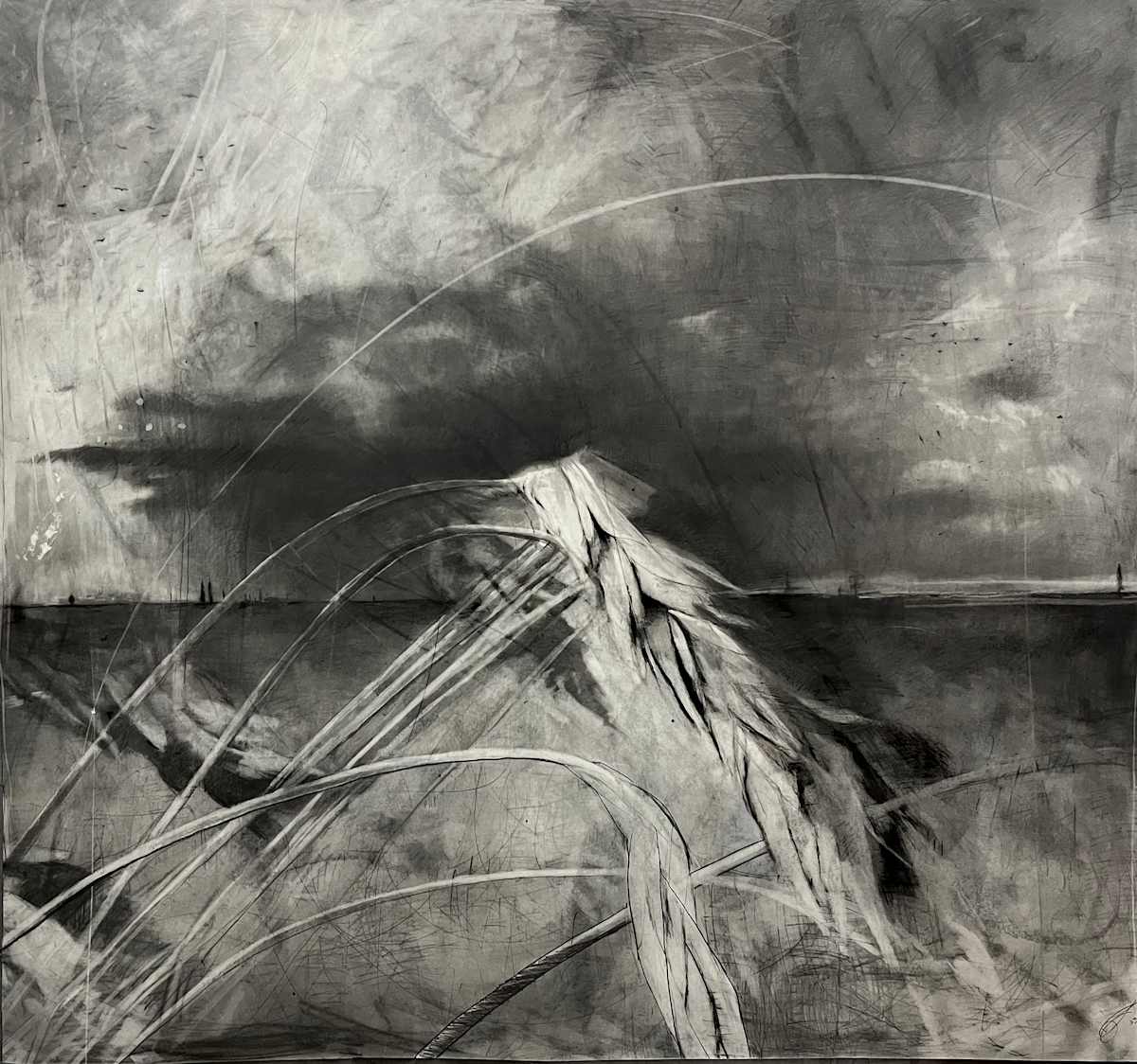 The Harvest by Dan Levinson, Image 1.