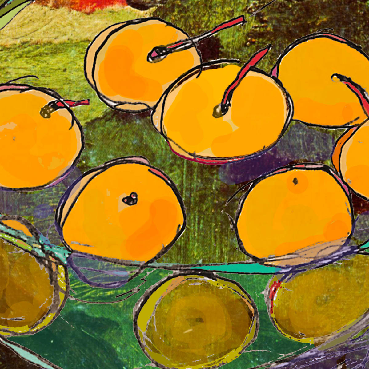 Apricots in Bowl by Dana Squires, Image 1.