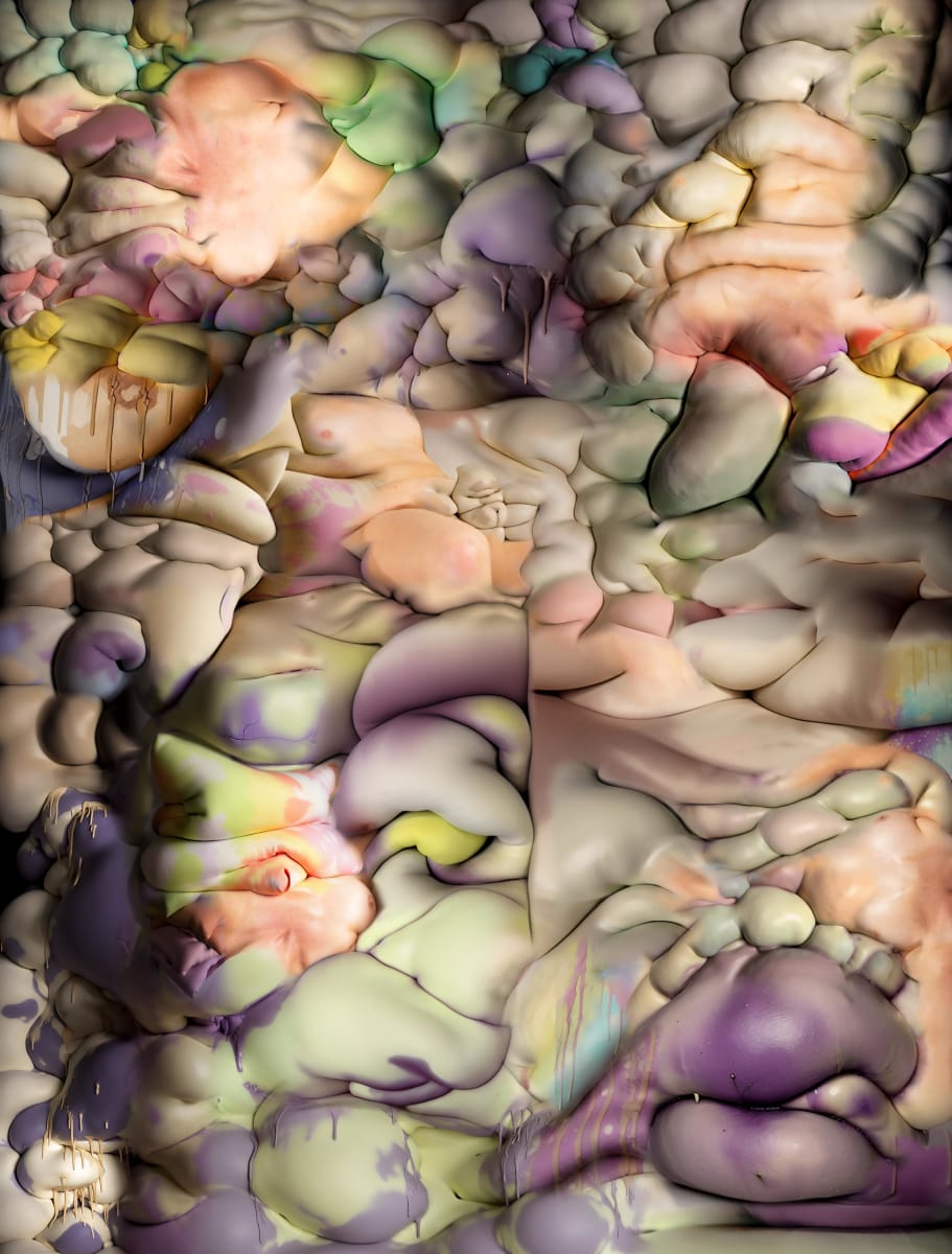 Chimera by Emily Elhoffer, Image 1.
