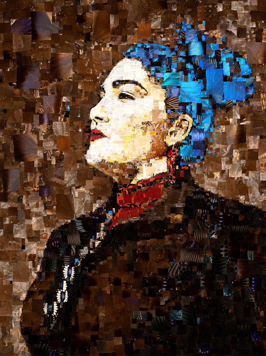 Melodi by Benjamin Timpson, Image 1.