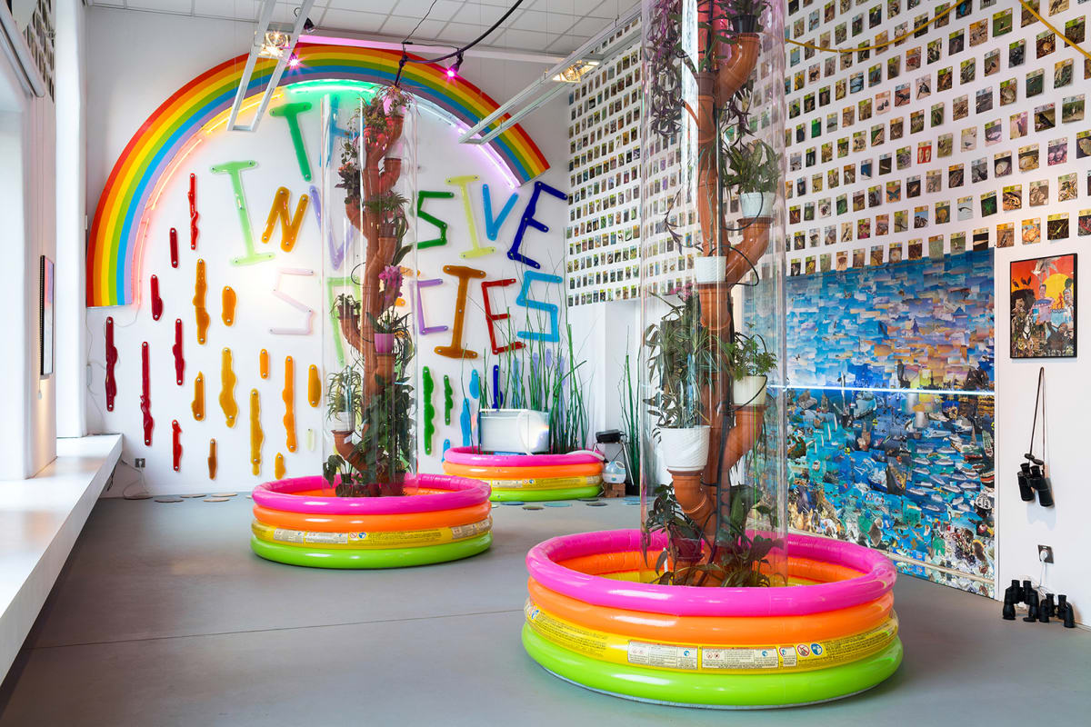 The Invasive Species by Benjamin Wright, Image 1.