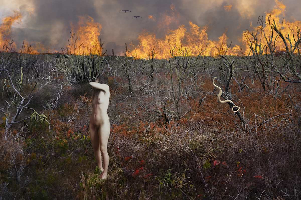 Eden by Daniel Ranalli, Image 1.