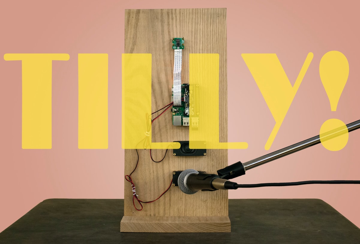 Tilly by Richard Hoagland, Image 1.