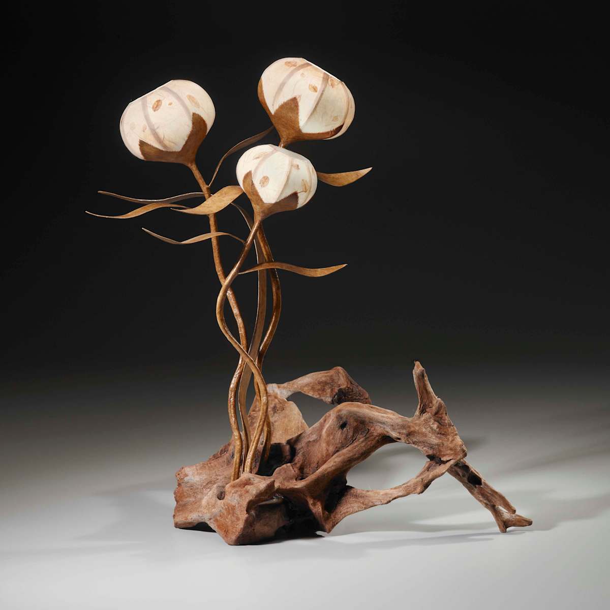 Driftwood Family by Pamella O'Connor, Image 1.