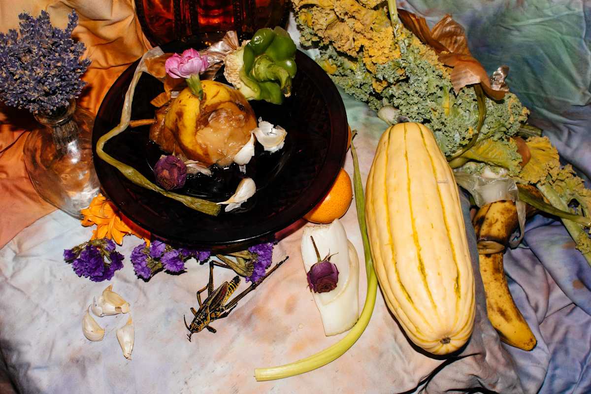 Still Life With Portrait of My Grasshopper by Mandy Torres, Image 1.