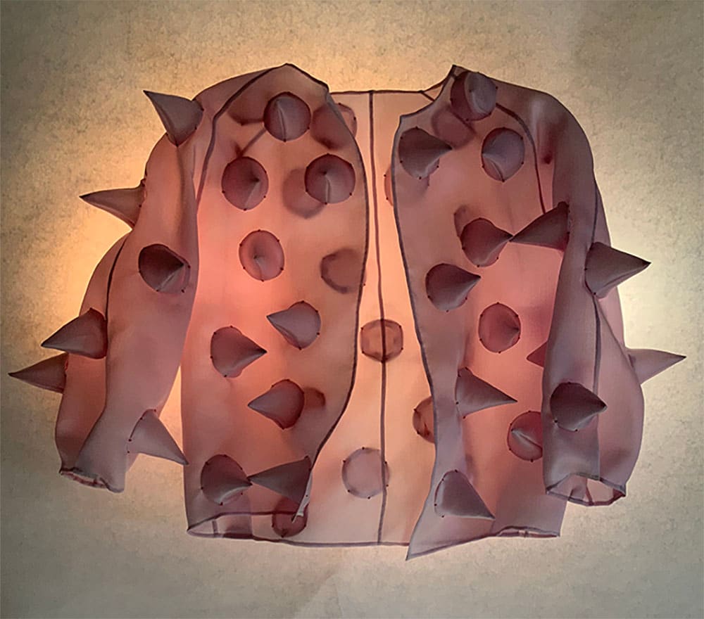 Coat of Anger by Tamsen Williams, Image 1.