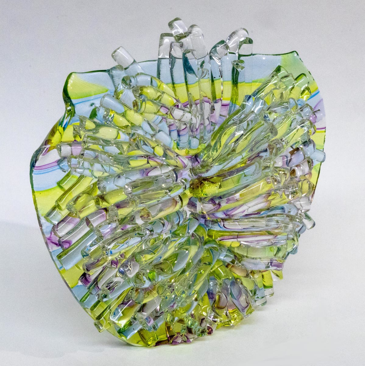 Anemone by Evan Seeling, Image 1.