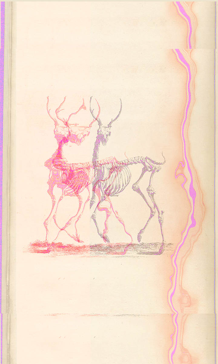 Extinction (From The Deleted World) by Josh Urban Davis, Image 1.