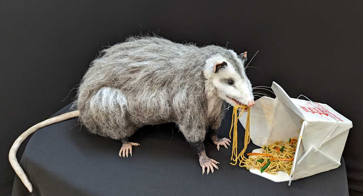 One Man's Trash by Judith Klausner, Image 1.