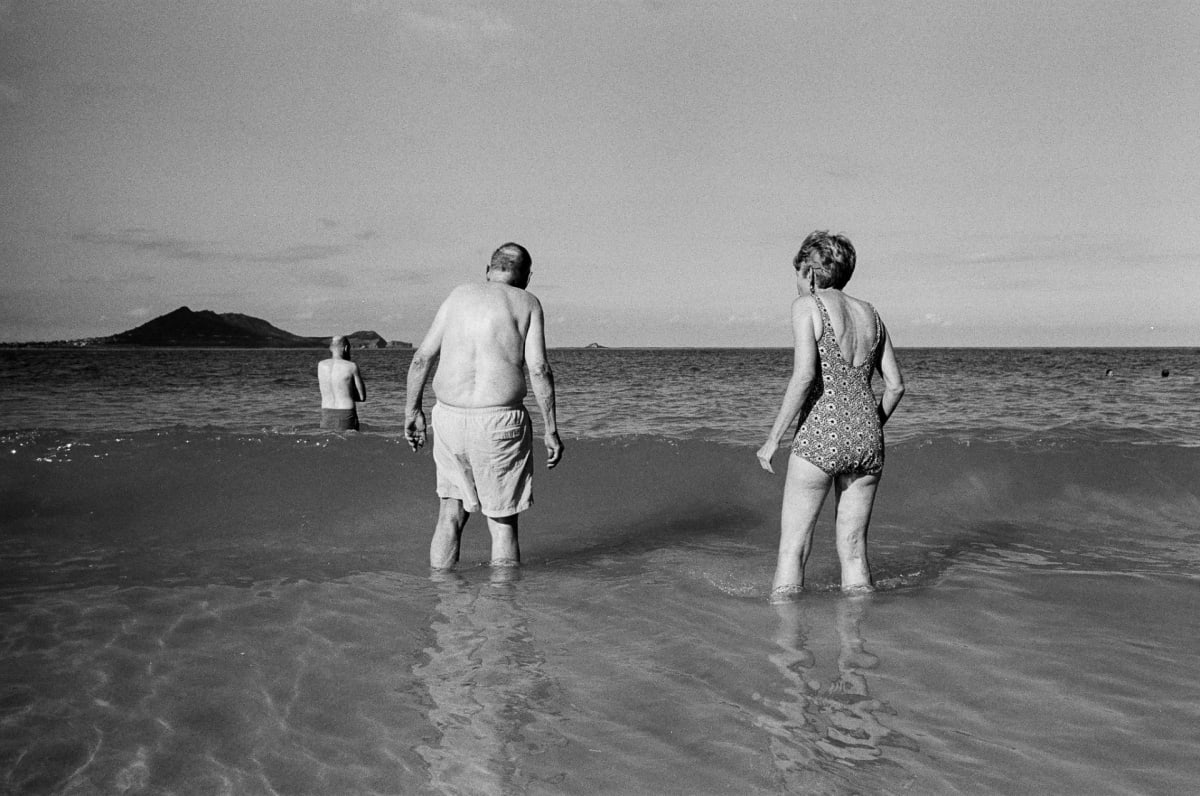 Family Reunion by Sadie Smith, Image 1.