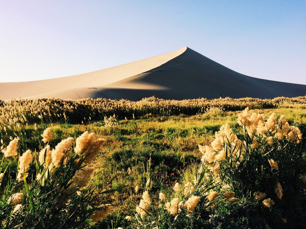 Singing Sands by Jenny Lam, Image 1.