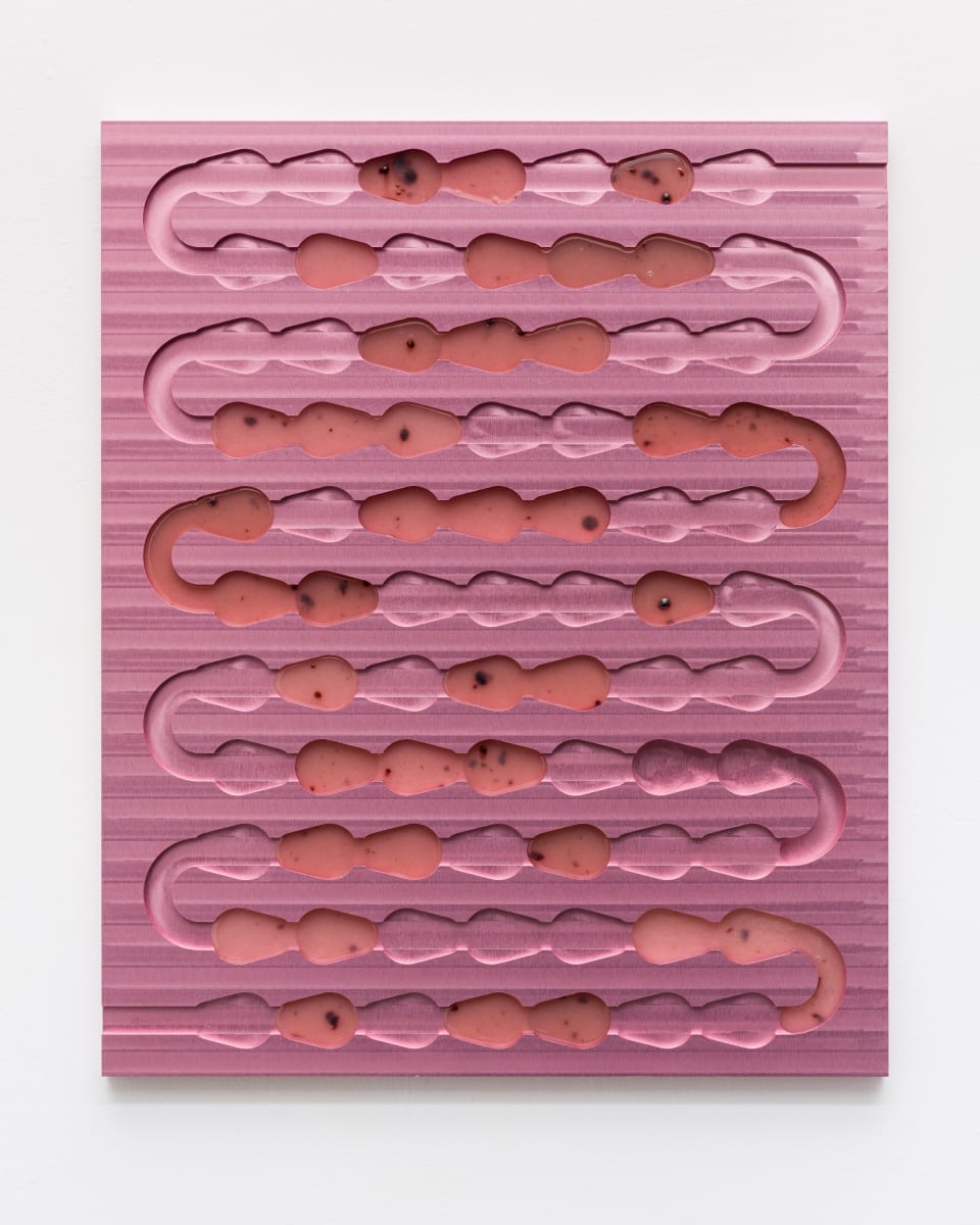 Signs Of A Leaky Gut by Jake Couri, Image 1.