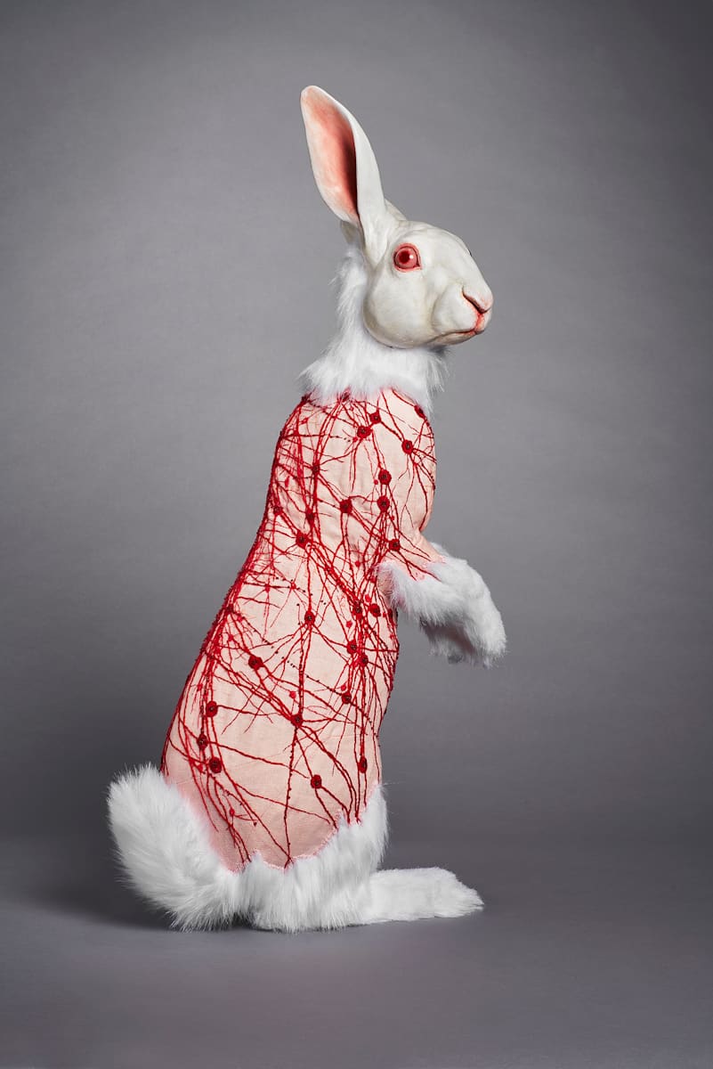 Flayed Rabbit: Albino with Nerves by Deborah Simon, Image 1.