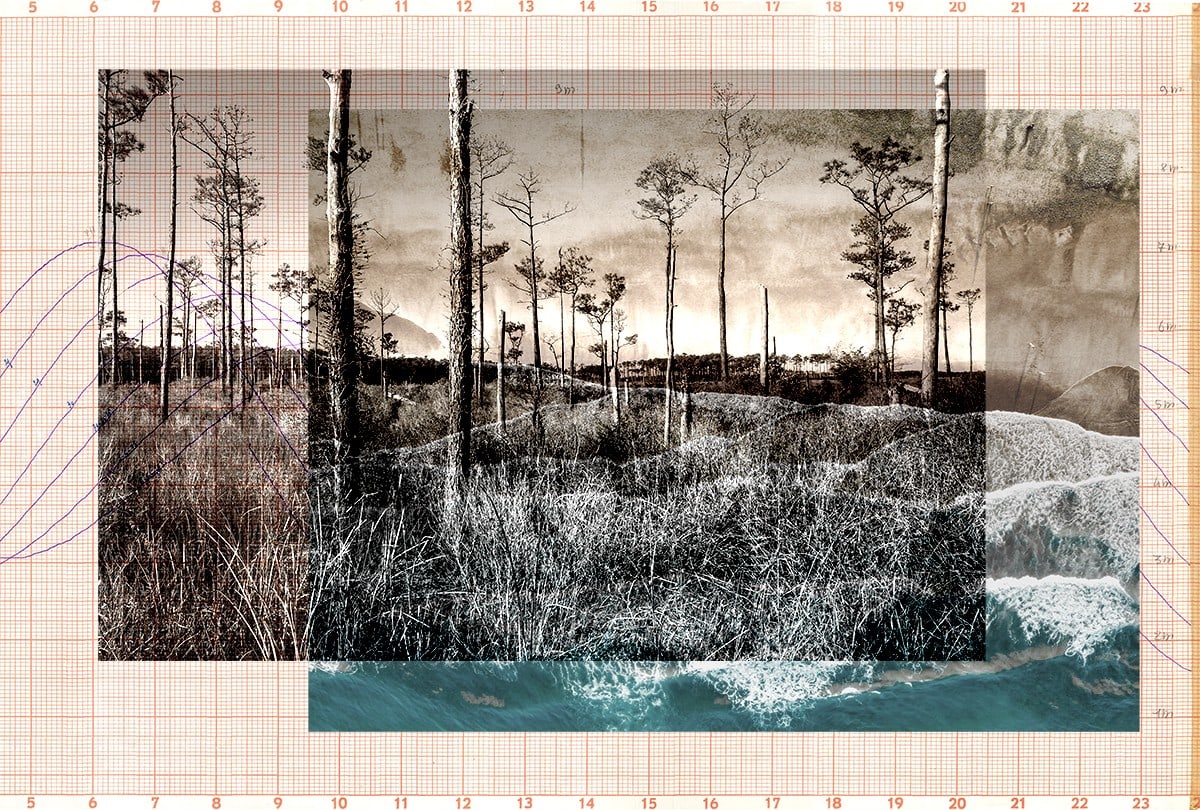 Two Trees Marigram by Margaret LeJeune, Image 1.