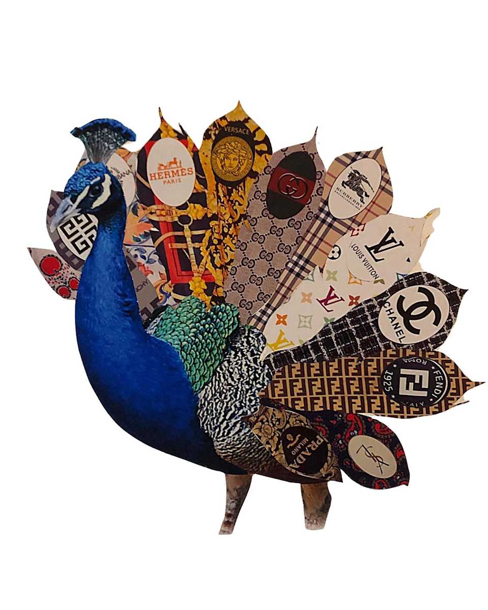 Ostentatious Plumage by Katherine Kane, Image 1.