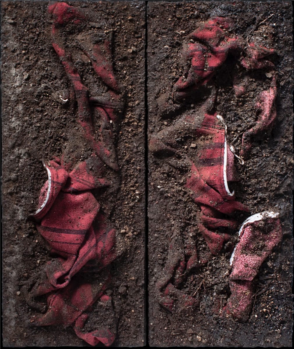 Ecdysis II by Dylan Coppola, Image 1.