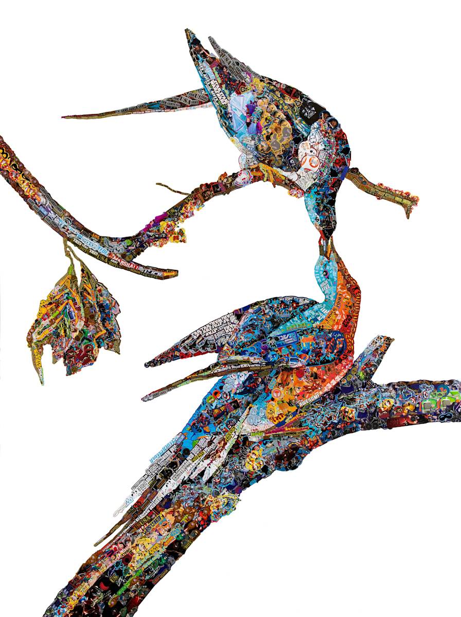 Of America: Passenger Pigeon by Noah Scalin, Image 1.