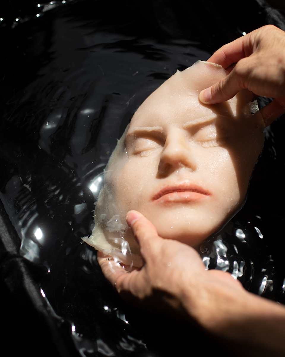 New Skin by Brian Oldham, Image 1.