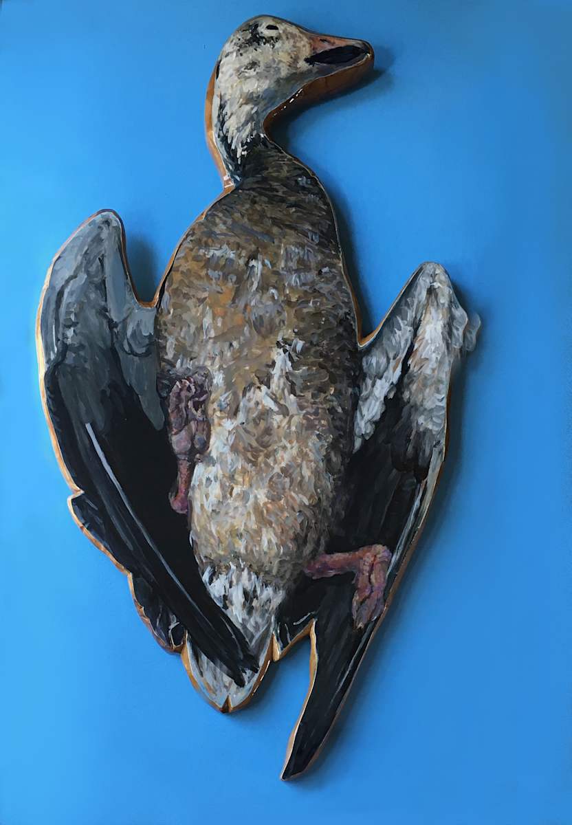 Death of the Wetlands (15 Ducks Installed) by Jana Napoli, Image 1.