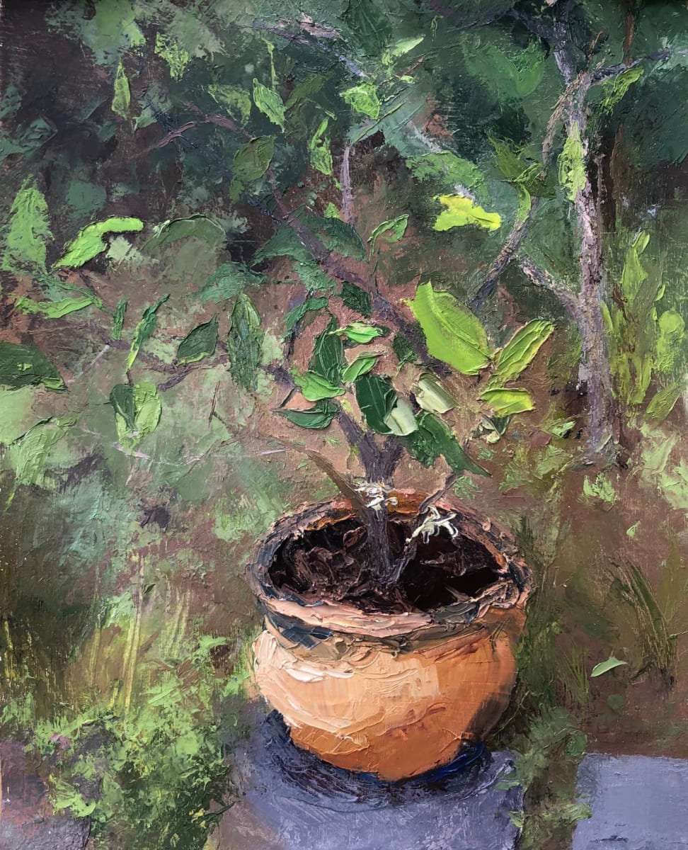 Backyard Pot by Naomi Nevo Ben Ari, Image 1.