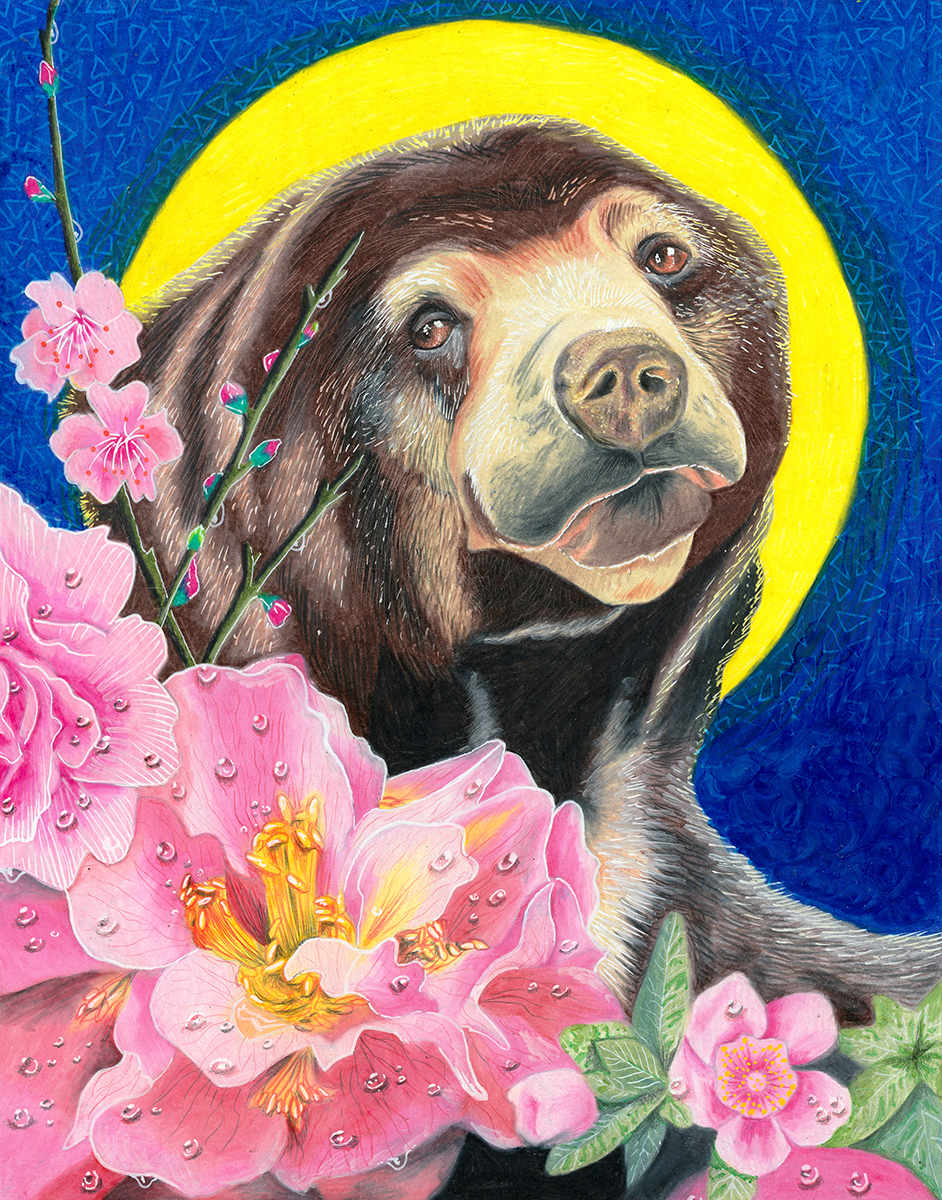 Sun Bear by Julie Kitzes, Image 1.
