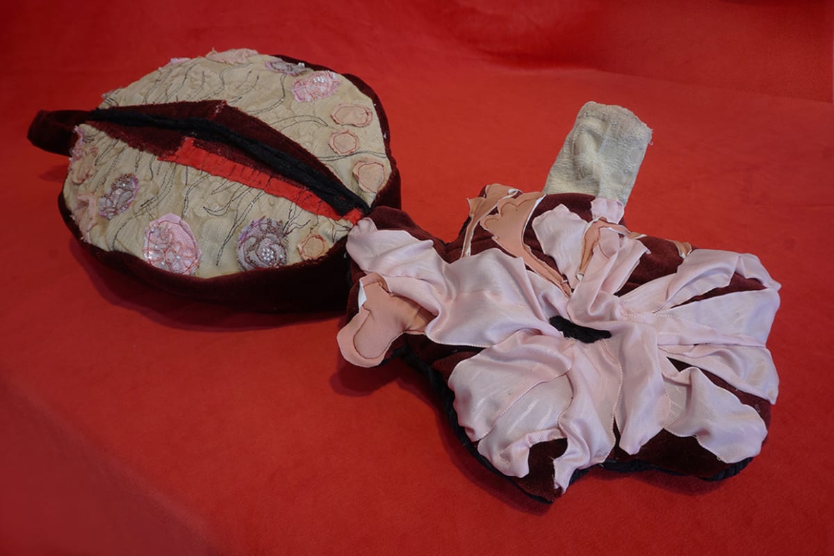 Reinier's Ovary by Helena Wadsley, Image 1.