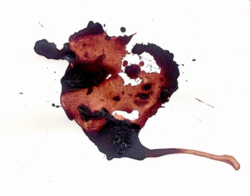 Bleeding No. 1 by Leticia Velasquez, Image 1.