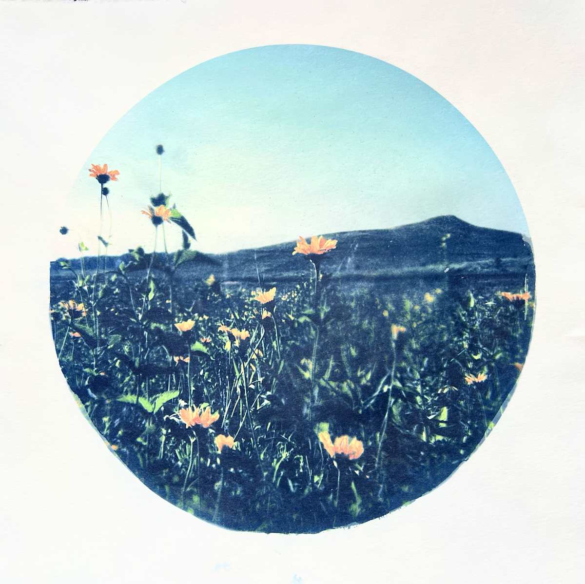 Nothing But Flowers by Epiphany Knedler, Image 1.