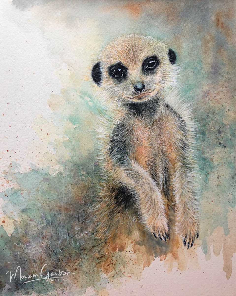 Pup’s Perspective - Little Meerkat by Miriam Gaulton, Image 1.