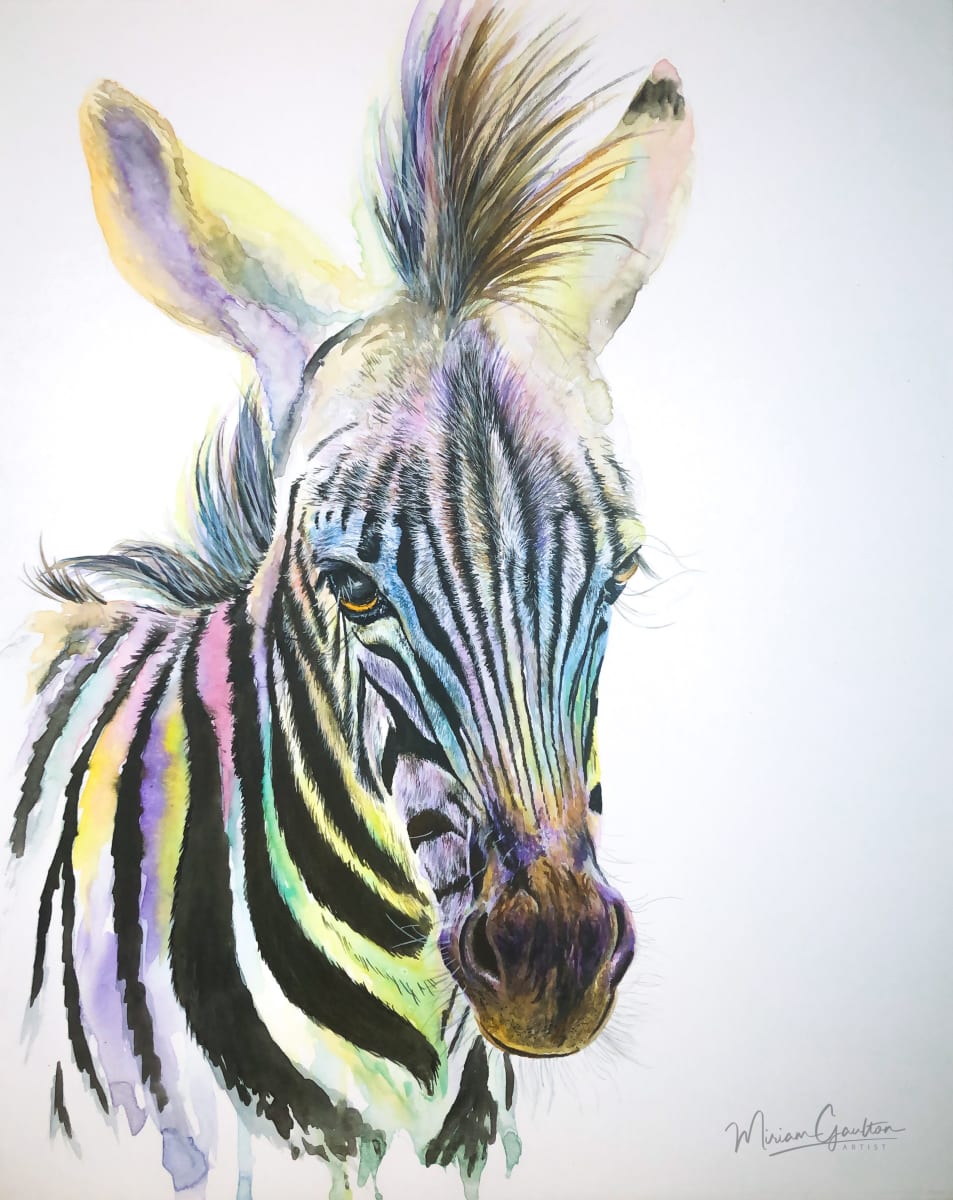 Rainbow Zebra by Miriam Gaulton, Image 1.