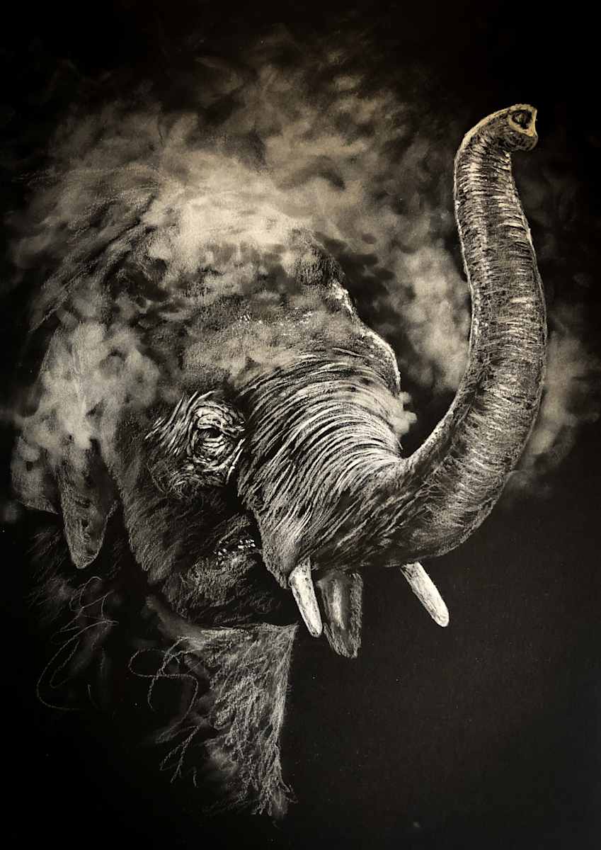 'Dust bath' - Little elephant by Miriam Gaulton 