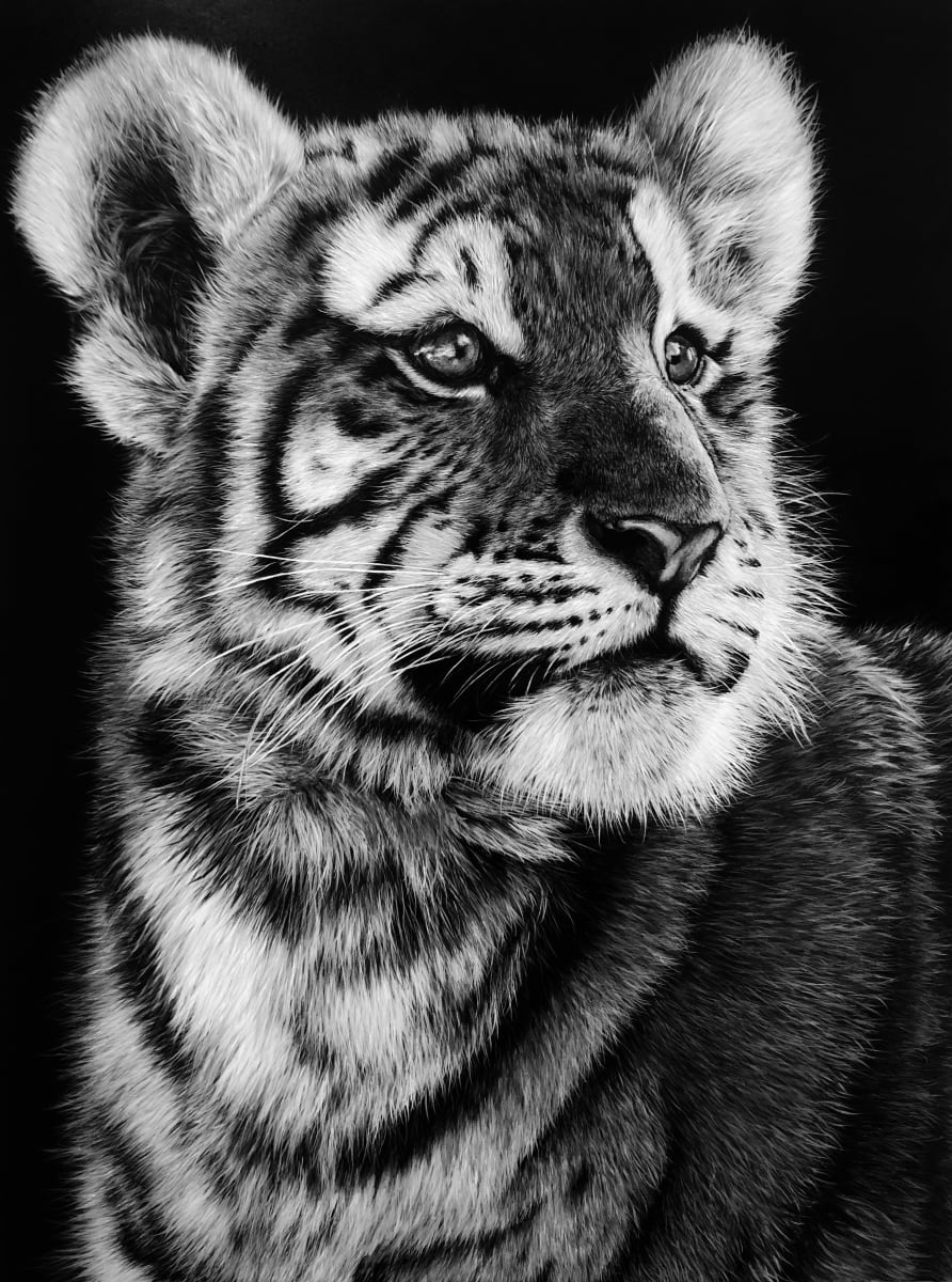 ‘Beautiful Tiger cub, so young and so free..’ by Miriam Gaulton, Image 1.