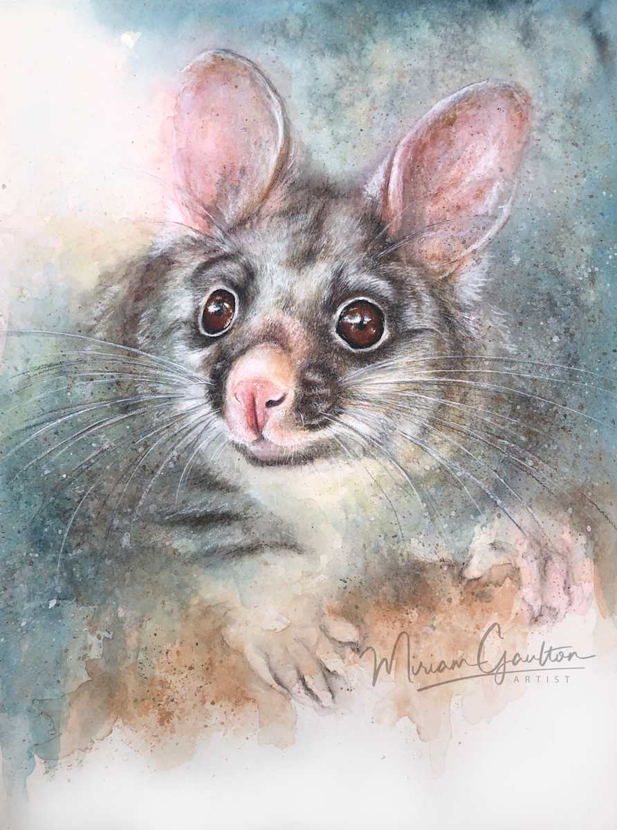 'Blossom' by Miriam Gaulton, Image 1.