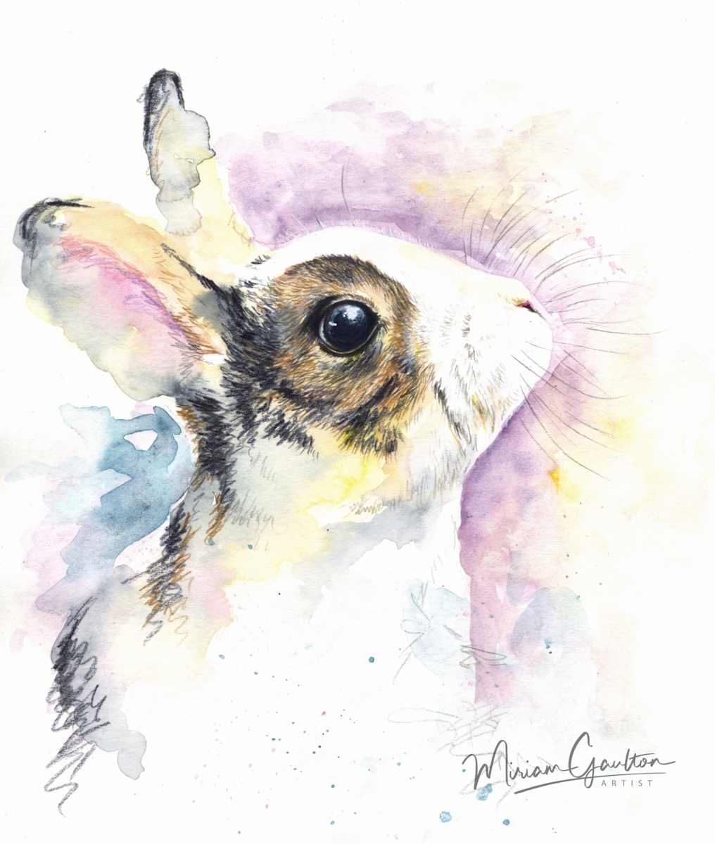 Bunny by Miriam Gaulton 