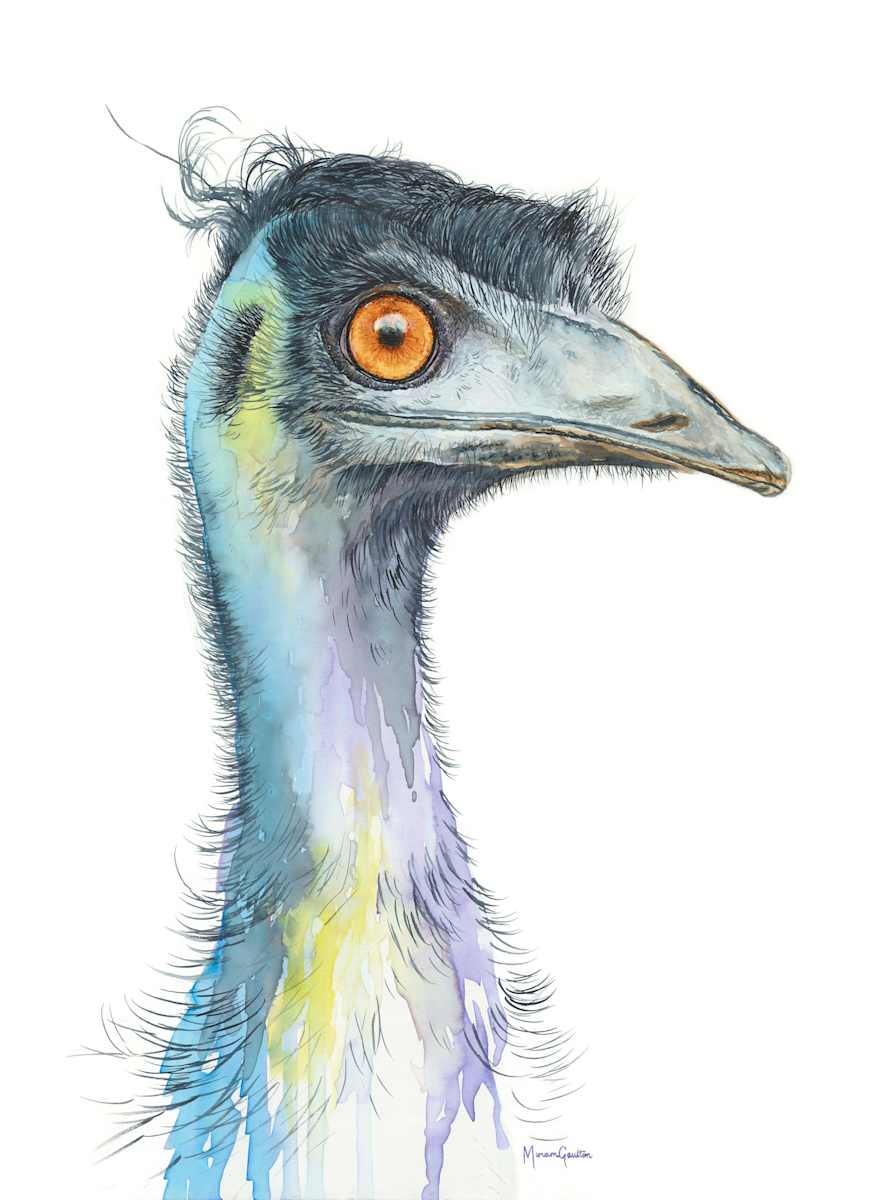 Emu by Miriam Gaulton, Image 1.