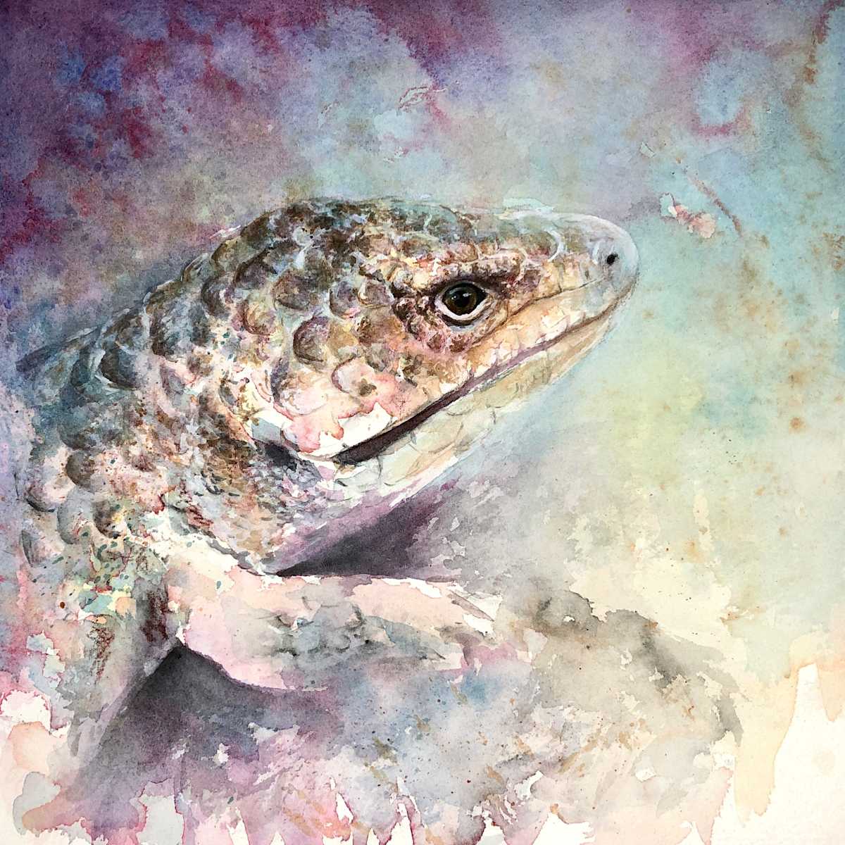Becoming Bobtail by Miriam Gaulton, Image 1.