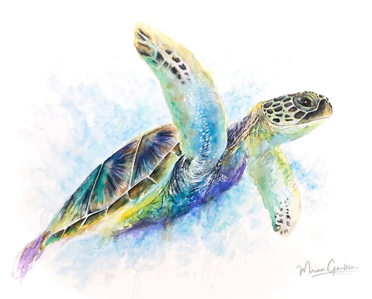 Sea Turtle by Miriam Gaulton 