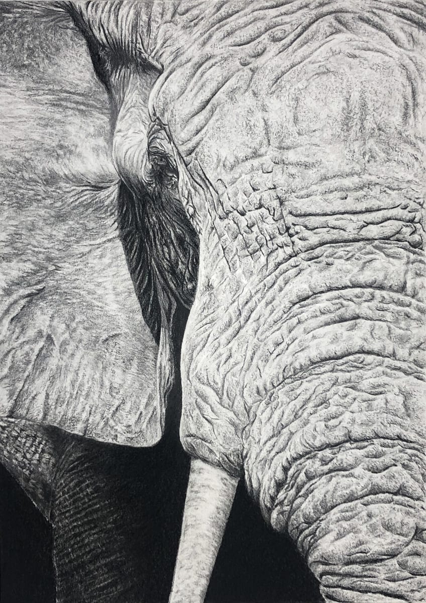 Power and Wisdom Emanating by Miriam Gaulton, Image 3.