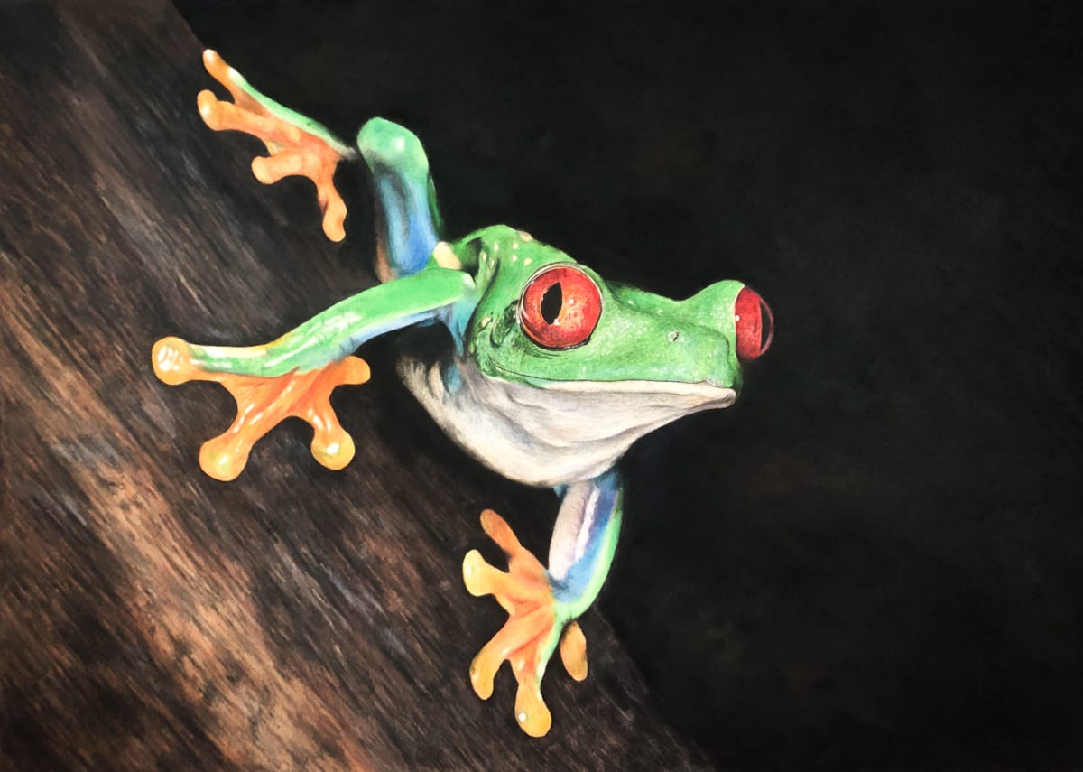 'Nature’s Watcher' by Miriam Gaulton, Image 1.