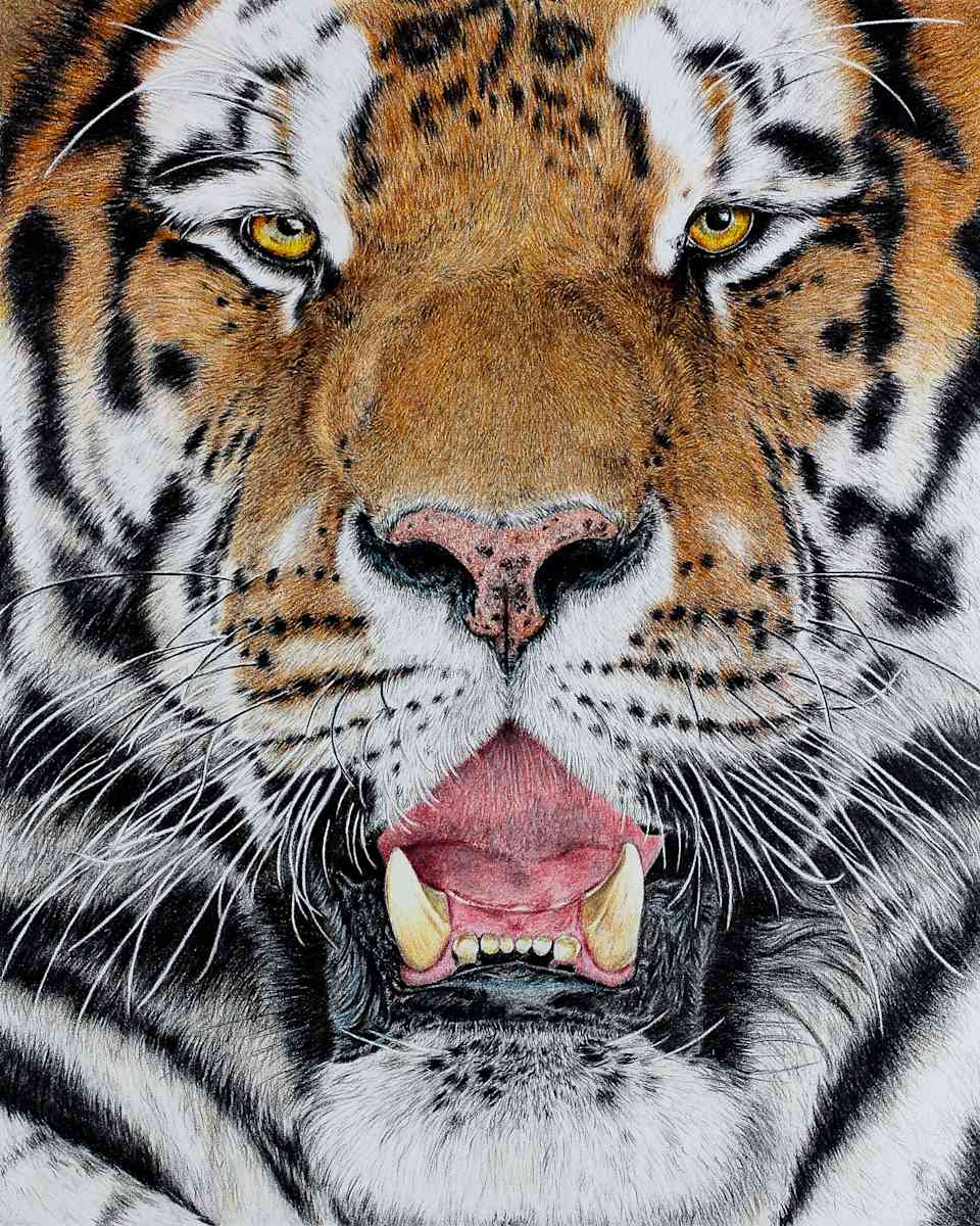 'Untamed' by Miriam Gaulton 