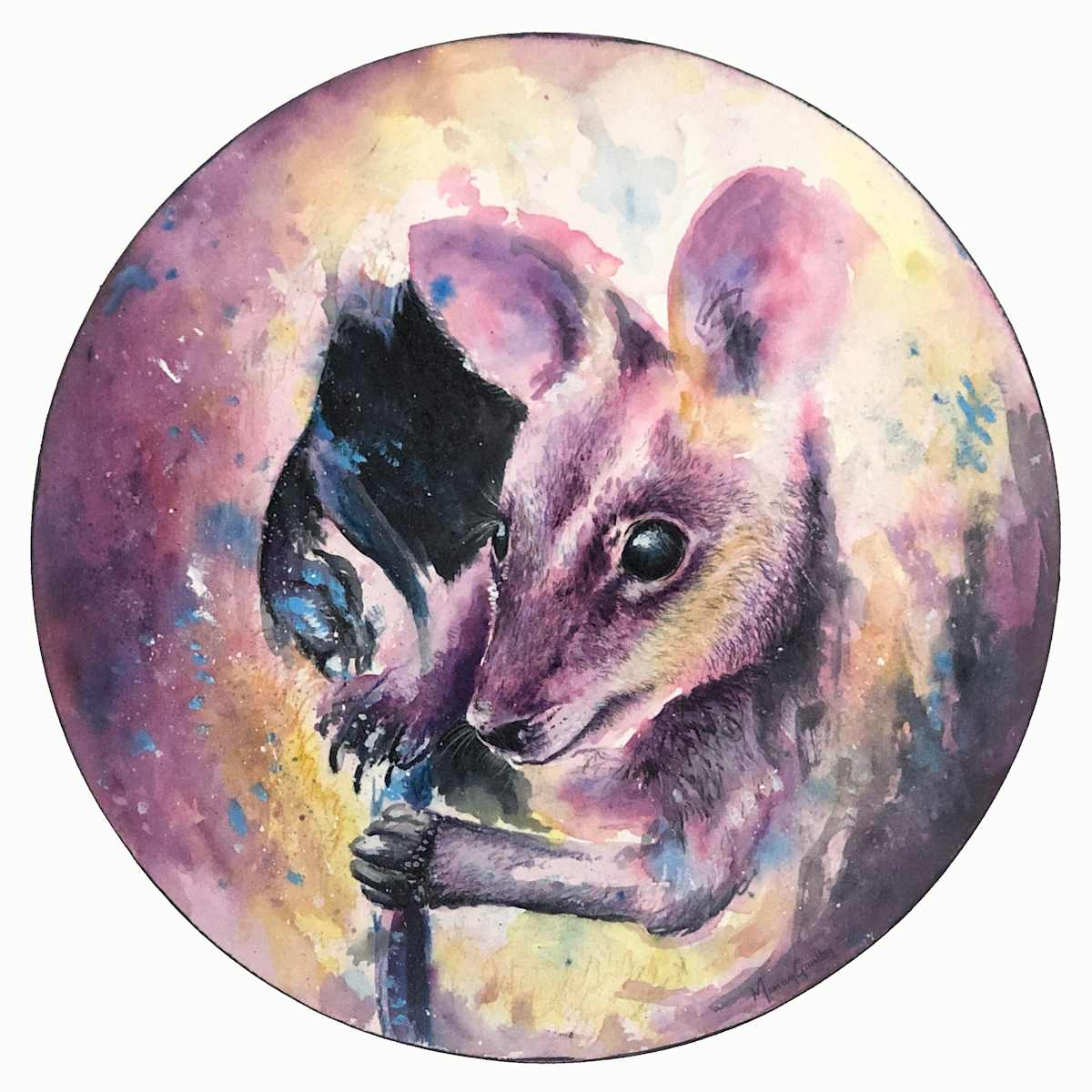 'Joey Jammies' by Miriam Gaulton, Image 3.